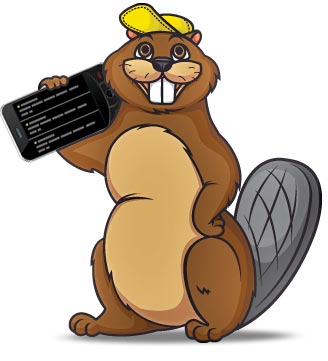 Spy Mobile Phone Pricing and Packages